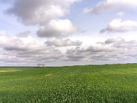 Sahagun - Reliegos