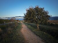 SJC 2019 - 2589 : LensTagger