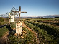 SJC 2019 - 2593 : LensTagger