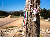 SJC 2019 - 2626 : LensTagger