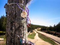 SJC 2019 - 2628 : LensTagger