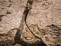SJC 2019 - 2672 : LensTagger
