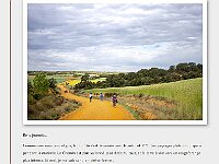 Blog 40