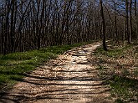 SJC 2019 - 1856 : LensTagger