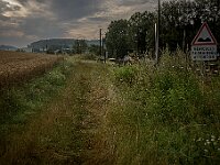 SJC 2024 - 5003-2