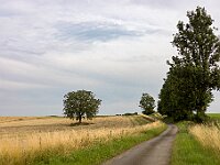 SJC 2024 - 5018-2
