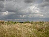 SJC 2024 - 4639-2