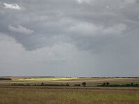 SJC 2024 - 4841