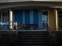 SJC 2024 - 0117