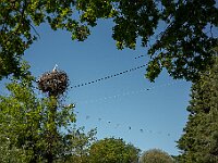 SJC 2024 - 0189-2