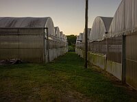 SJC 2024 - 0125-2