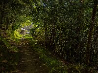 O Cadavo - Fonsagrada
