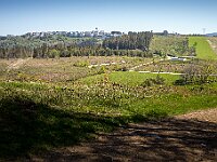 SJC 2024 - 0327-2