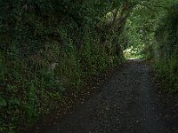 SJC 2019 - 3033 : LensTagger