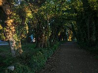 SJC 2019 - 2892 : LensTagger