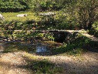 SJC 2019 - 2864 : LensTagger