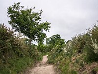 SJC 2019 - 2971 : LensTagger