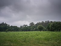 SJC 2019 - 2994 : LensTagger