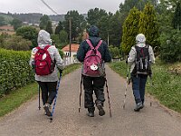SJC 2019 - 3002 : LensTagger