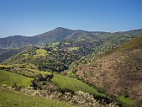 SJC 2019 - 2788 : LensTagger