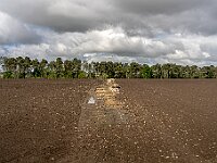 Arblade-le-Bas - Miramont-Sensacq