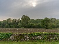 Argagnon - Navarrenx