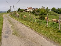 SJC 2019 - 0944 : LensTagger