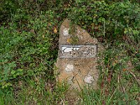 SJC 2019 - 1056 : LensTagger