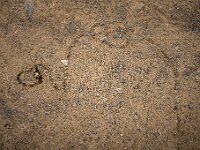 SJC 2019 - 1058 : LensTagger