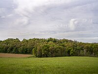 SJC 2019 - 0766 : LensTagger
