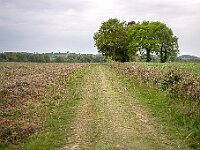 SJC 2019 - 0887 : LensTagger