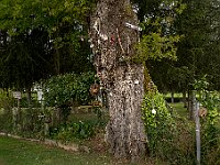 SJC 2019 - 0845 : LensTagger