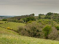 SJC 2019 - 0861 : LensTagger