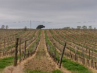 SJC 2019 - 0680 : LensTagger