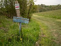 SJC 2019 - 0726 : LensTagger