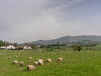 SJC 2019 - 1138 : LensTagger