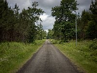 SJC 2024 - 2546