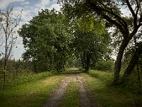 SJC 2024 - 2581
