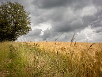Sorges - Thivier