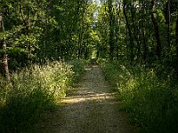 Landes - Périgord