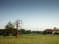 SJC 2024 - 3473