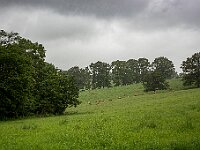 SJC 2024 - 3141