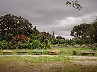 SJC 2024 - 3176