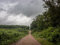 SJC 2024 - 3893