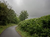 SJC 2024 - 3899