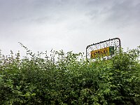 SJC 2024 - 4038