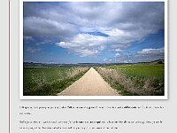 Blog 27