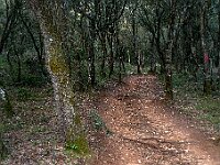 SJC 2019 - 1450 : LensTagger