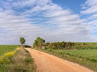 SJC 2019 - 1464 : LensTagger