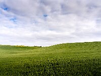 SJC 2019 - 1466 : LensTagger